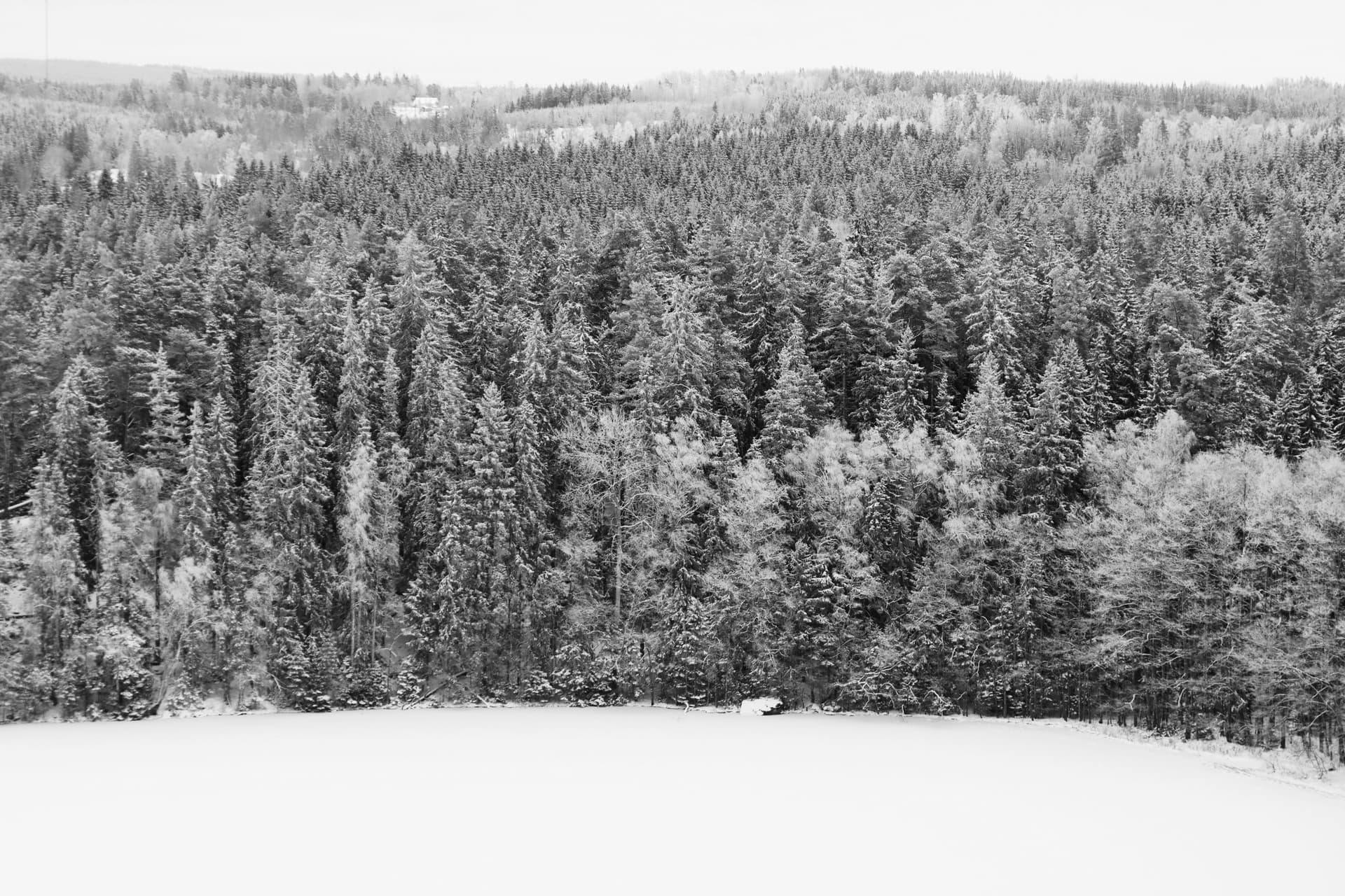 Complete Guide to Getting a Portuguese Driver's License