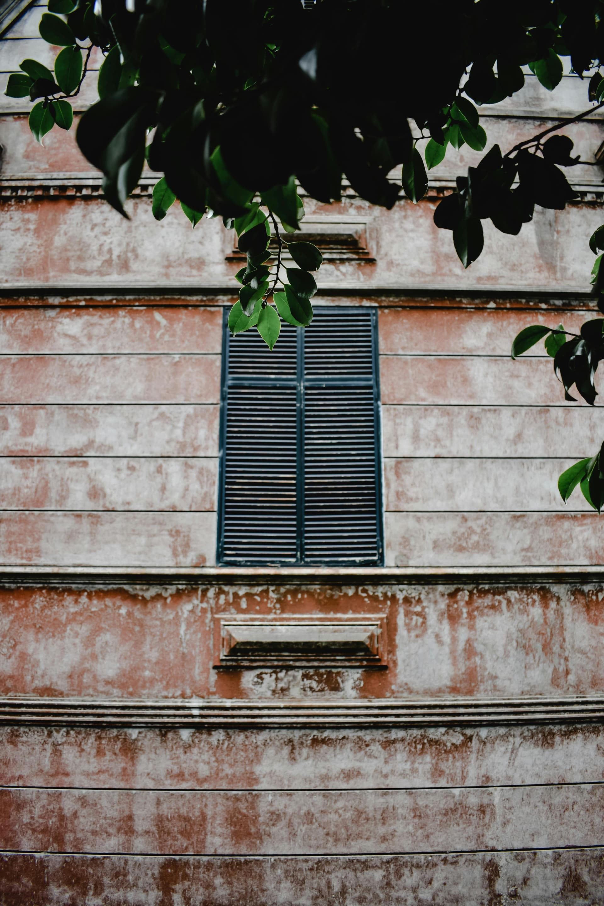 Discover Portugal's Traditional Markets: Best Buys & Expert Haggling